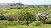 maremma tuscany cycling