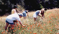 Adventure Tours