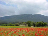 Alpilles Luberon Hiking