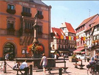 Alsace hiking tour