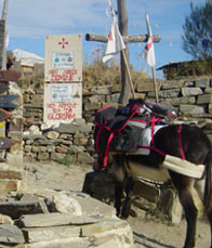 Camino de santiago bike tour