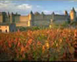 Carcassone Countryside Biking
