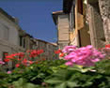 Classic Provence 5 Nights