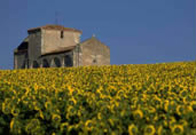 Cognac poitou cycling tour