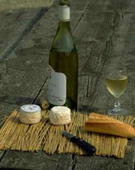 bordeaux wine country