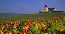 France tours