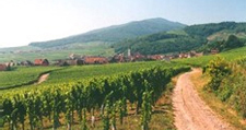 Alsace hiking tour
