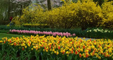 Holland cycling tour