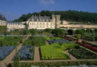 Loire gardens and vineyards tour