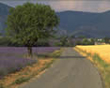 Mont Ventoux