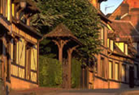 Normandy bicycle tour
