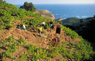 Self Drive & Easy Walking Tour