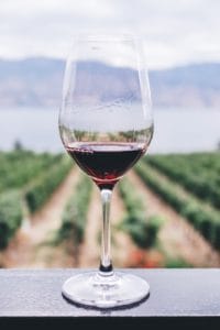 Wine glass with vineyard in the background