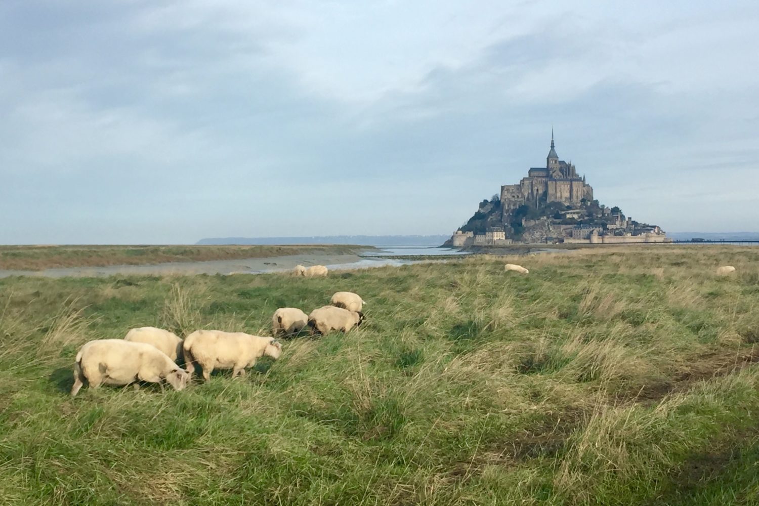 Self guided bike tour of Normandy visits Mont St Michel