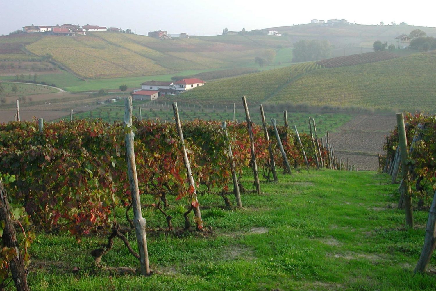 Italy Piedmont Wine Country cycling tour