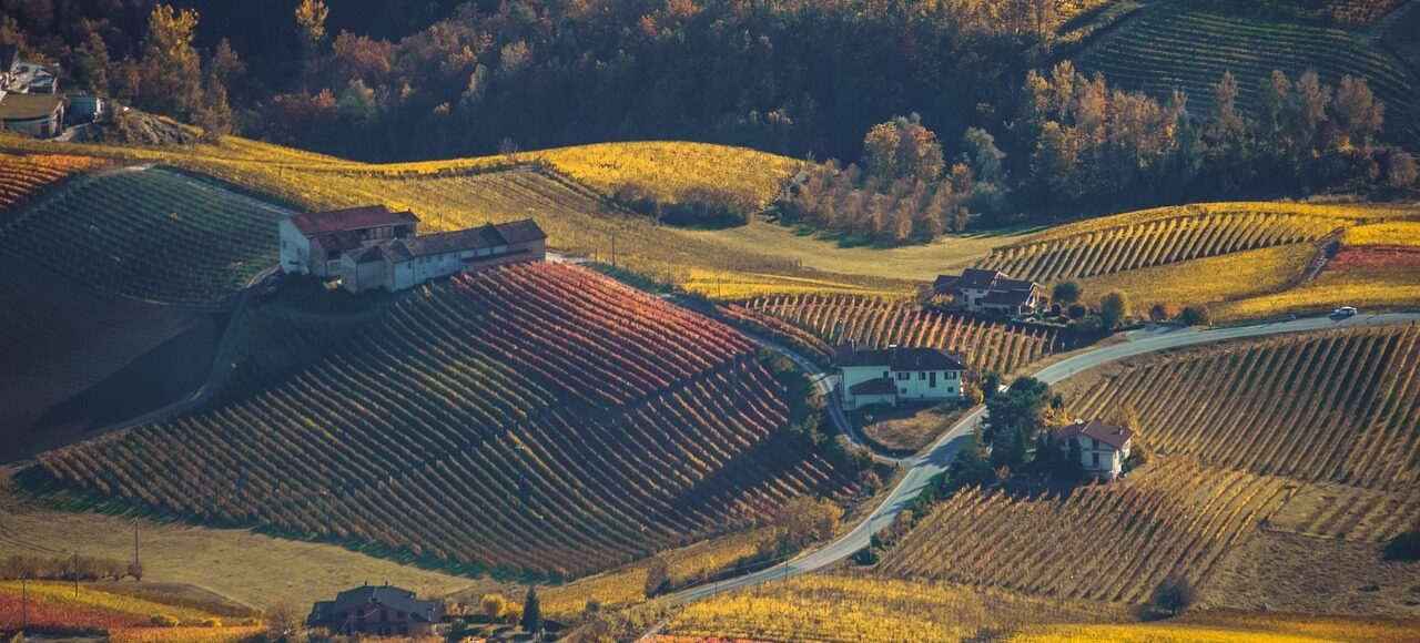 Piedmont fall bike tour