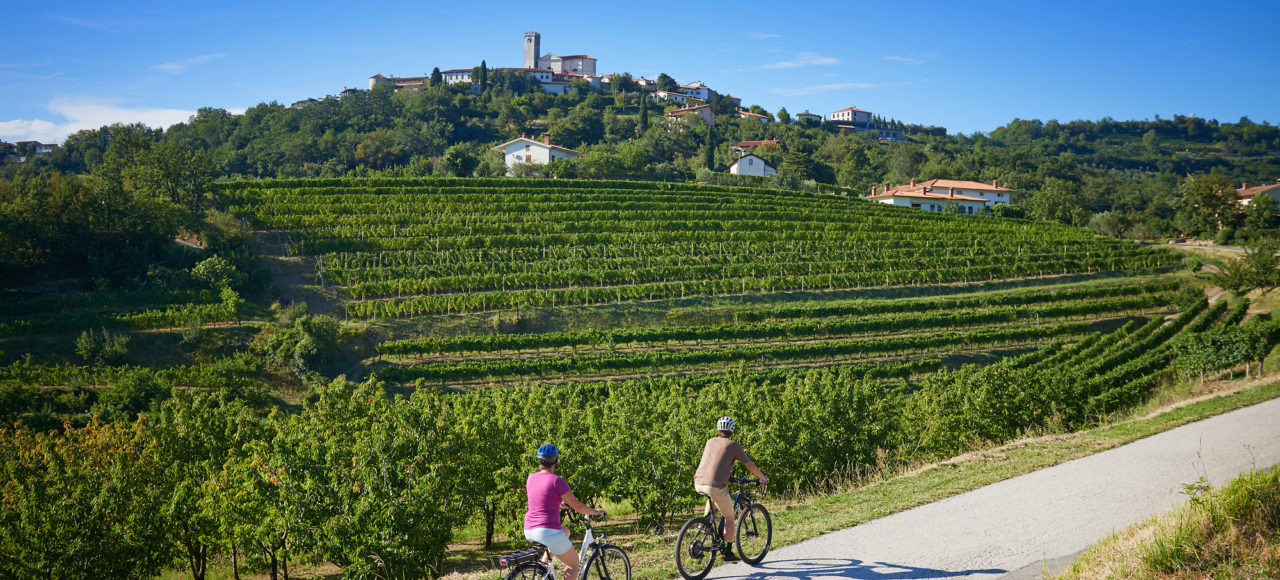 Cycle through the Tuscany of Slovenia
