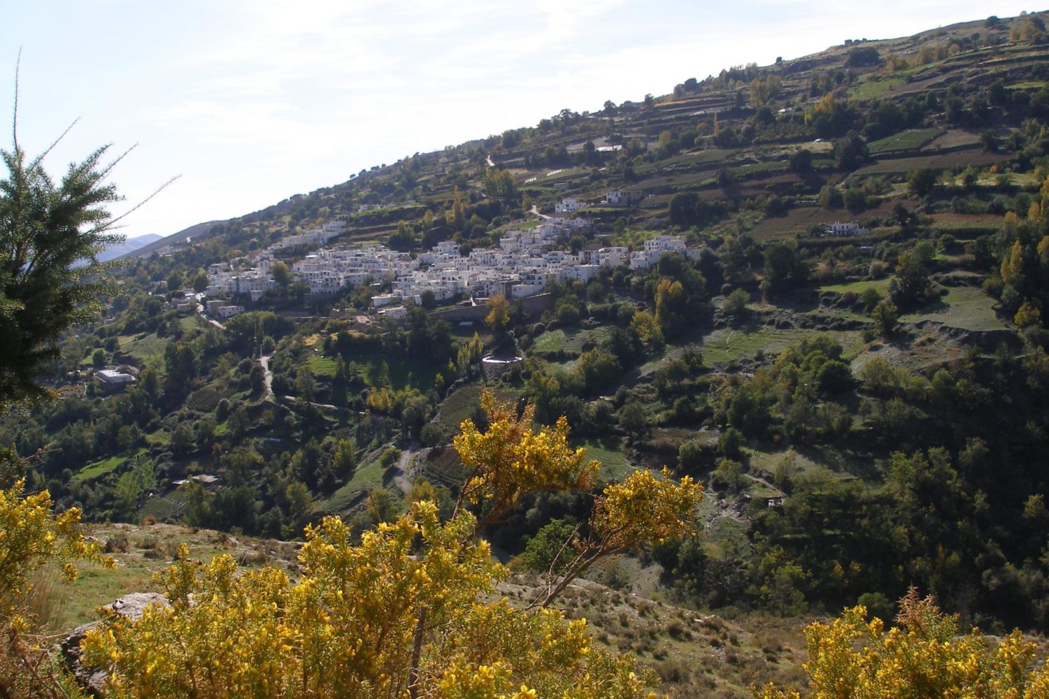 Andalusia landscape