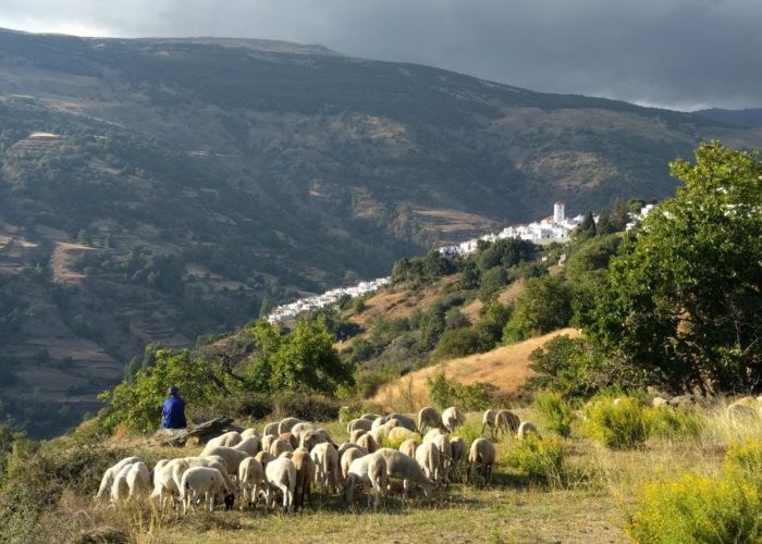 Spain Self-Guided Hiking Tour in Andalusia