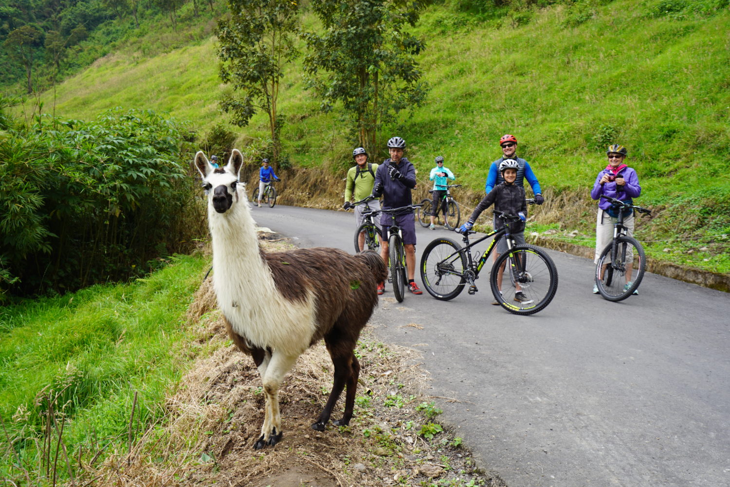 Ecuador multi sport adventure tour for families and teens