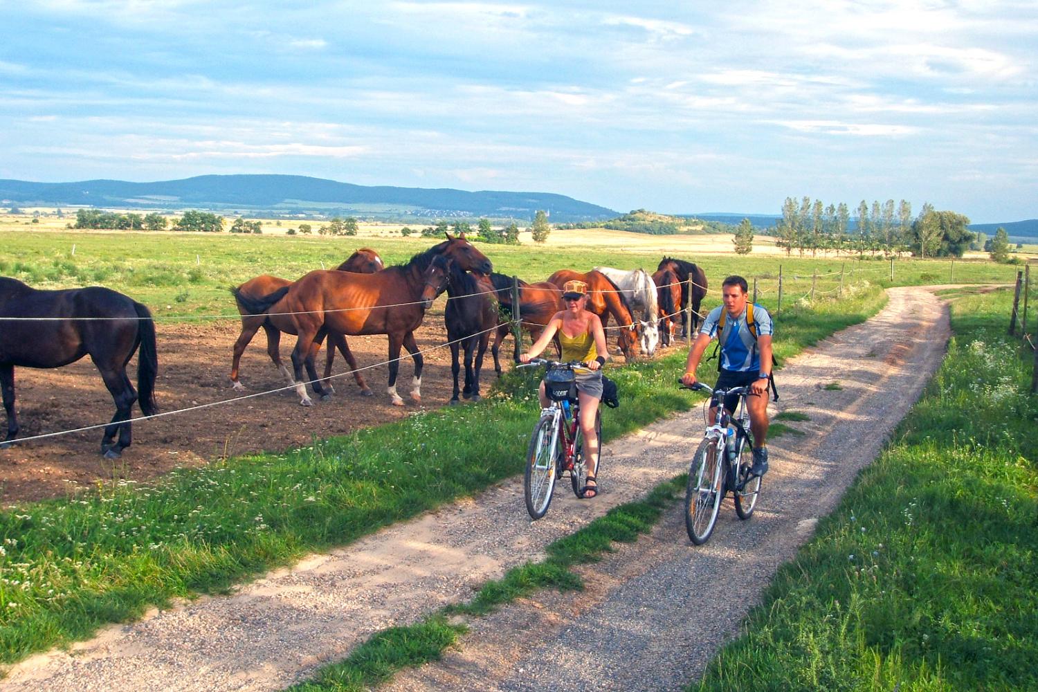 Self-guided cycling tour through Hungary - Culinary Delights Bike Tour