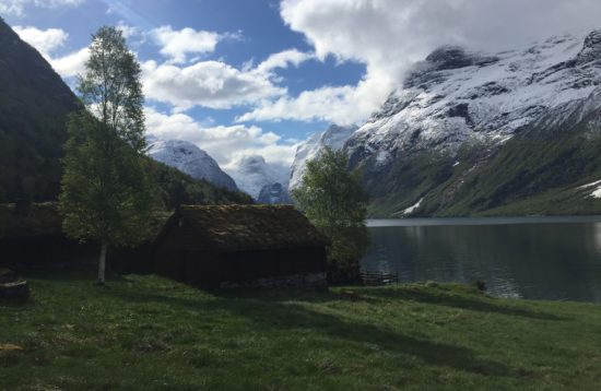 Incredible fjord views on this adventure!