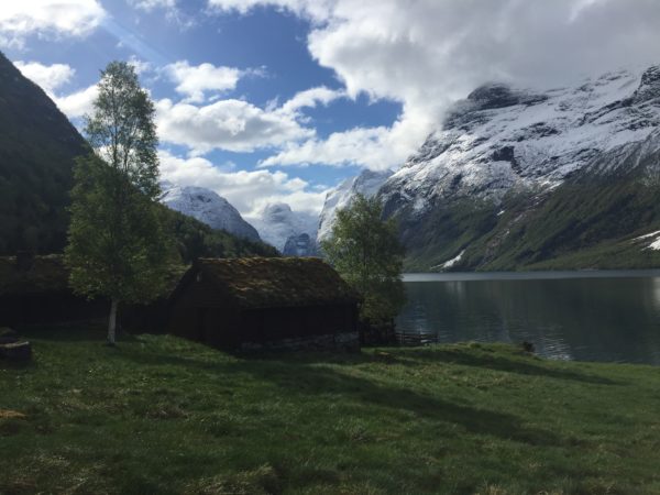 Incredible fjord views on this adventure!