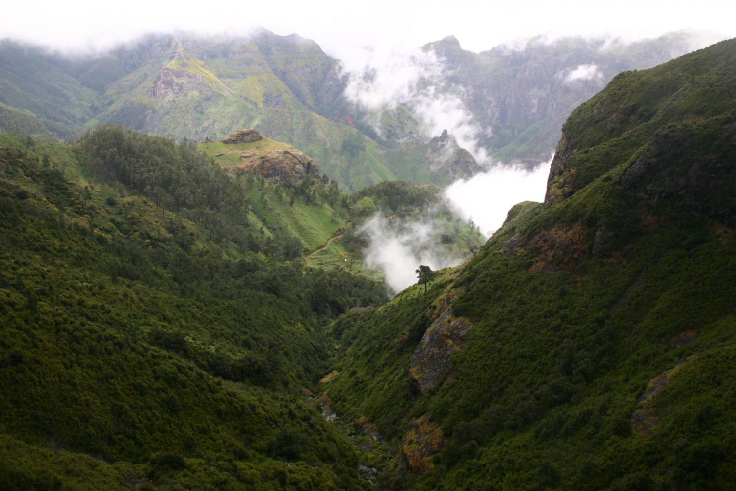 Self-guided hiking tour of Portugal's Madeira Island