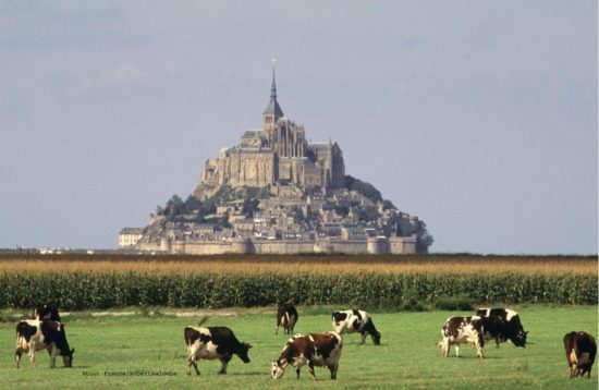 Here's why a self-guided bike tour in France should be your next adventure, from historic Normandy to the scenic Loire, France has it all!