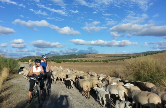 Spain - Cycling from Granada to Cordoba