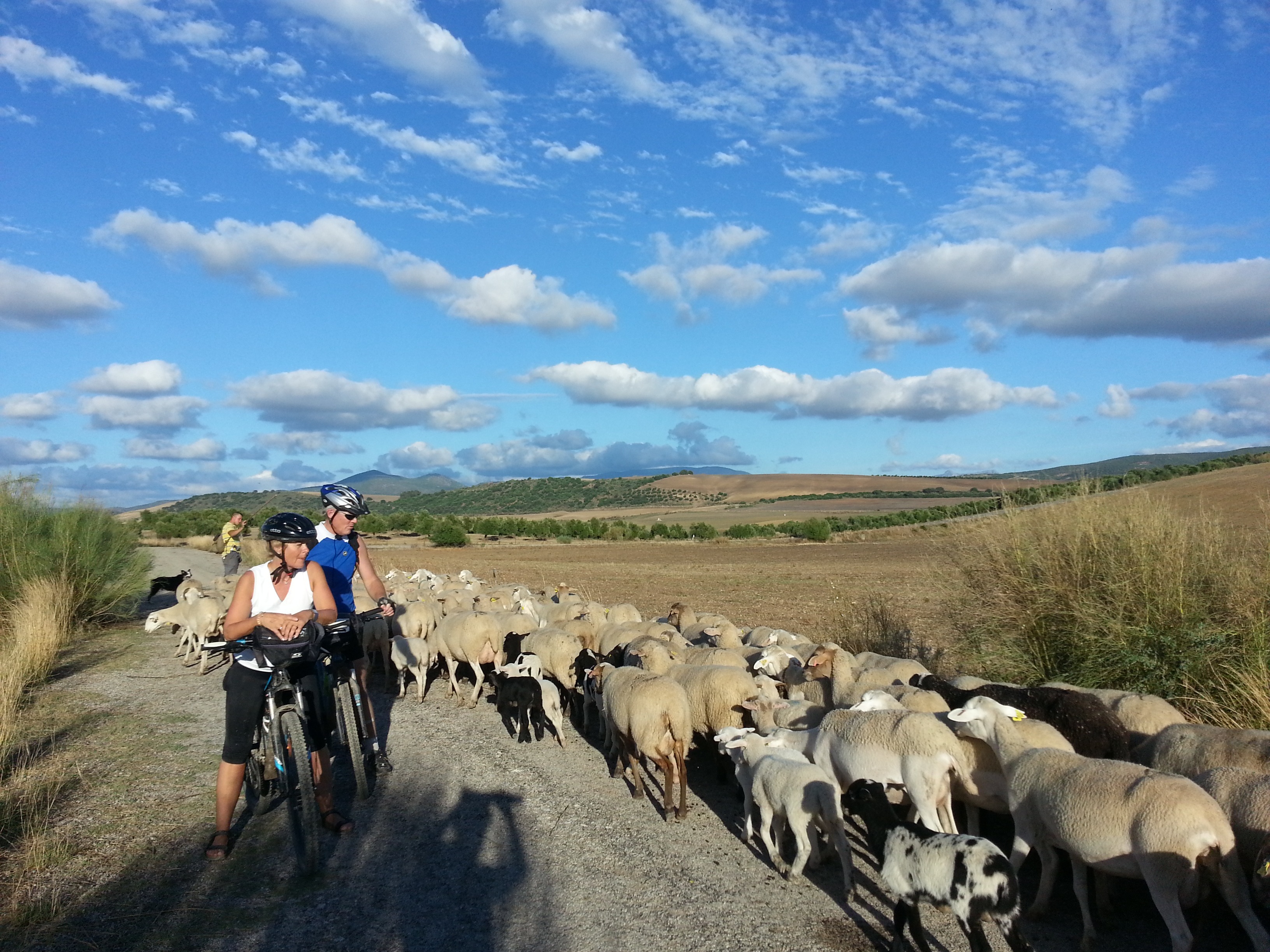 Spain - Cycling from Granada to Cordoba