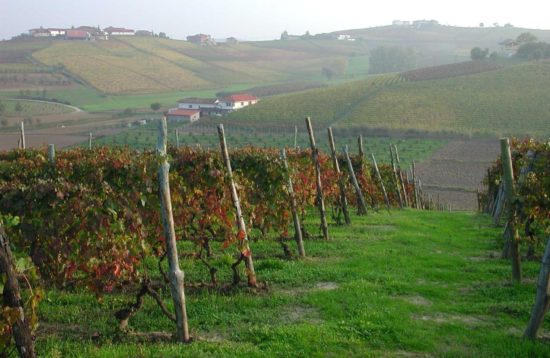 Italy - Piedmont Wine Country Cycling Tour