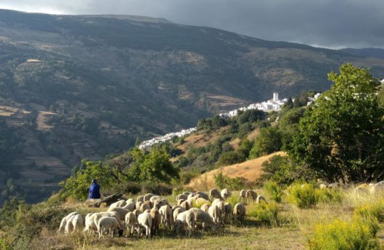 Spain - Alpujarra Hiking Andalusia
