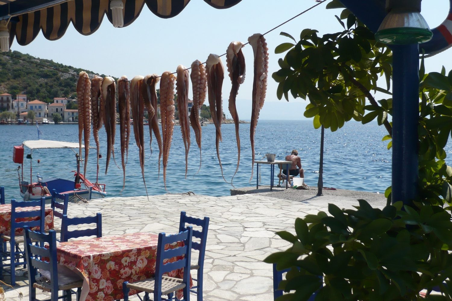 Octopus drying is a common sight to see in Greece!