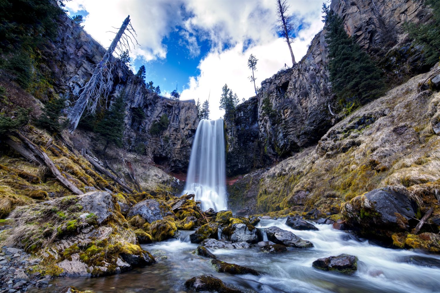 US - Oregon Cascade Mountains & Crater Lake Hiking Tour - Pure Adventures