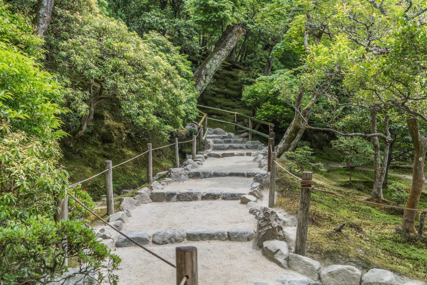 Сходи в лес. Тропа философа Киото. Каменная лестница. Заброшенные лестницы в лесу. Каменные ступеньки  в лесу Япония.