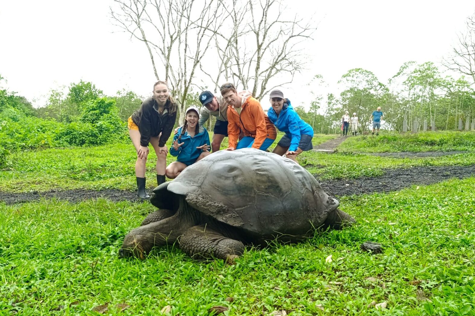 How is private guided travel different from a group tour?