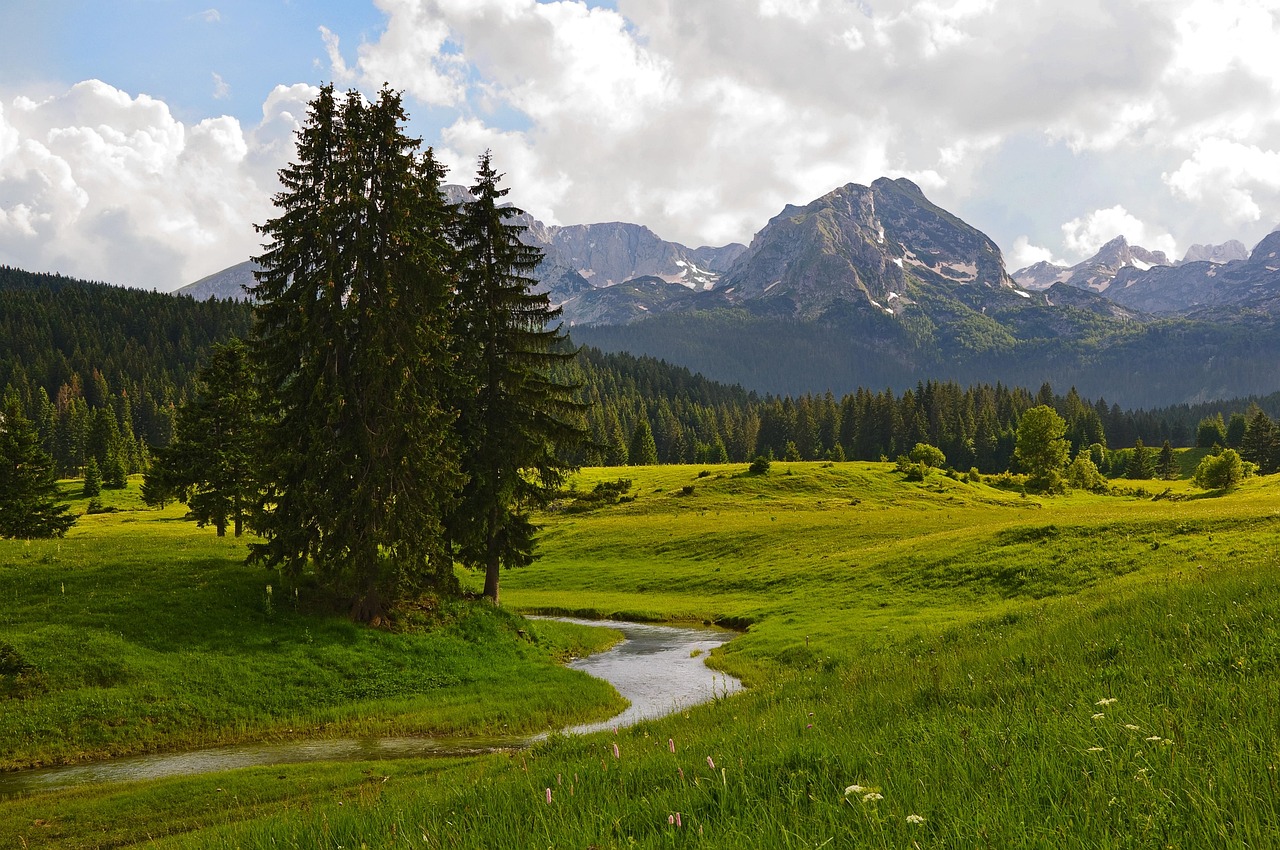 Montenegro Bike Tour