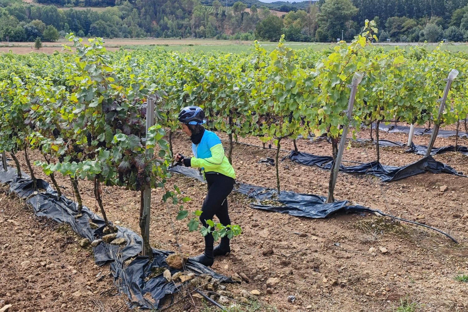 Spain Self Guided Basque Country Bike Tour on Bike Paths